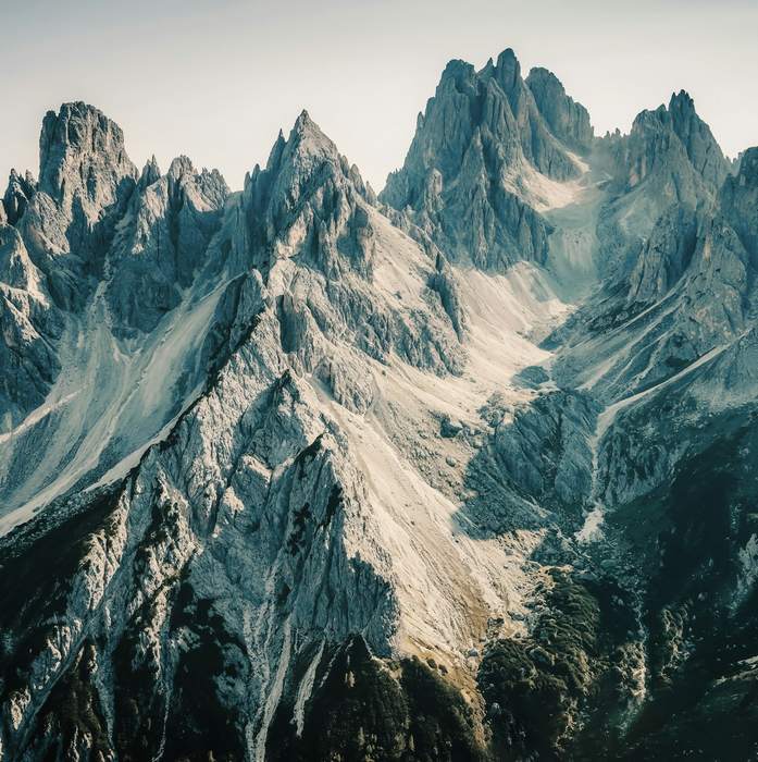 Cultivating Authenticity