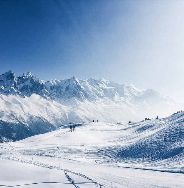 Examples of Narcissistic Abuse