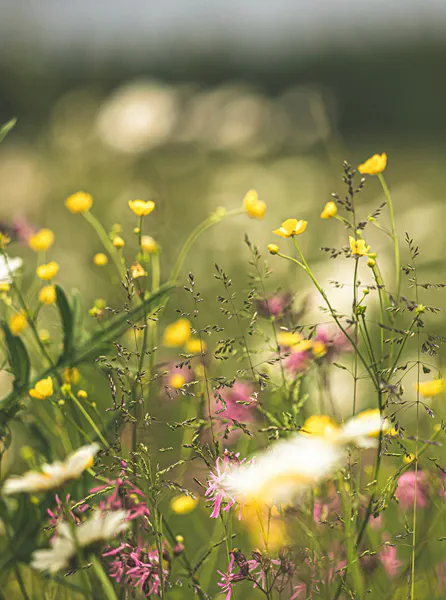 The Impact of Narcissistic Abuse