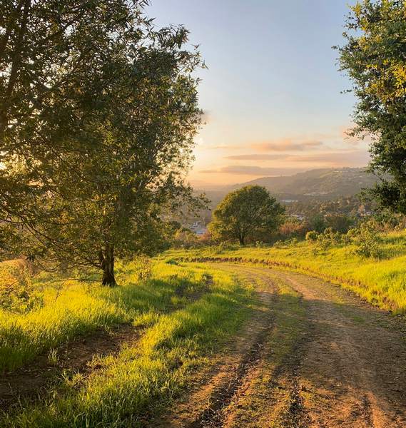 The Road to Recovery