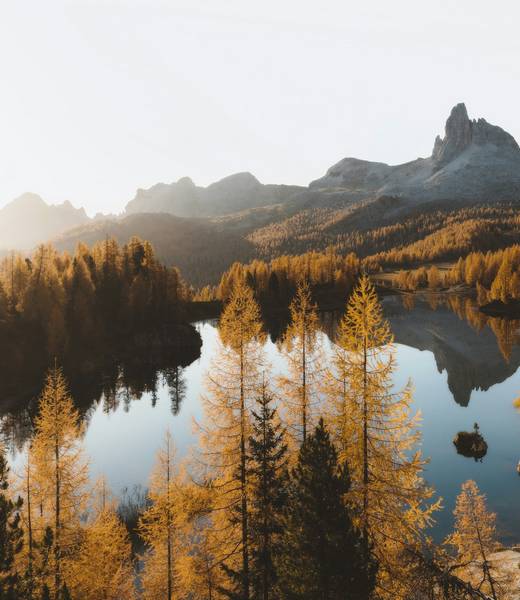 The Role of Introspection in Developing a Sense of Self