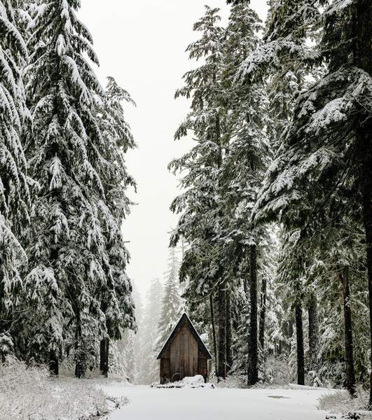 Unveiling the Narcissist, Traits and Behaviors