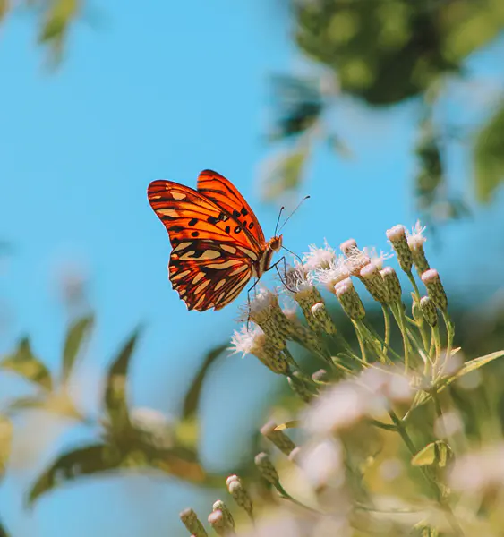 The Shadow Cast by Doubt, The Impact of Limiting Beliefs
